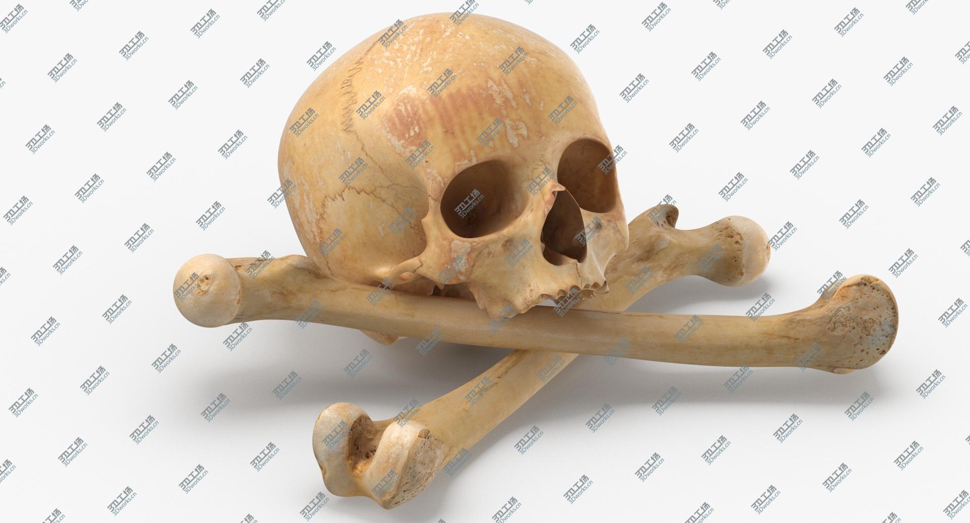 images/goods_img/202104091/3D Pirate Skull and Bones Composition 01 model/2.jpg